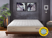 Botanic Hybrid Mattress